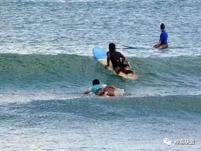 新疆男篮笑了,谢邱彪,冲冠迎好消息,悲喜夜,冠军豪门面临换帅